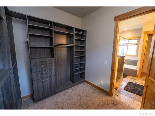 3969 Cashen Lane, Timnath, CO 80547