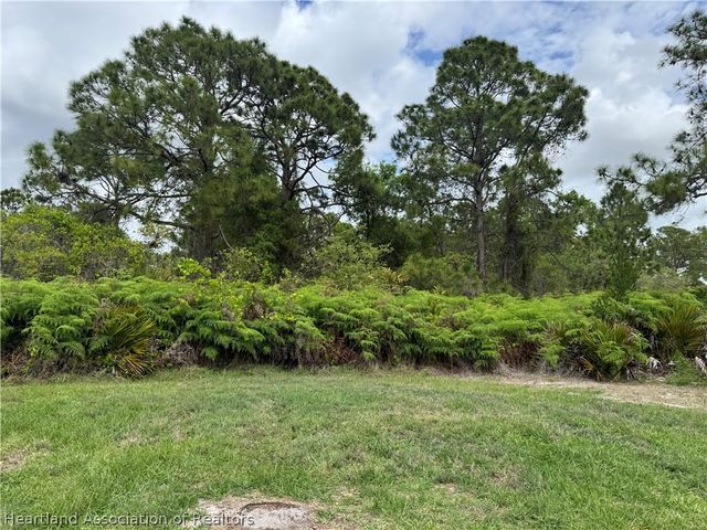 3158 Locust Avenue, Lake Placid, FL 33852