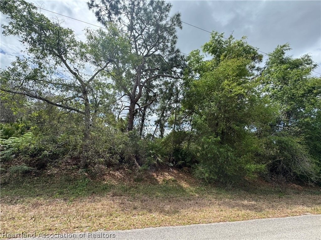 3158 Locust Avenue, Lake Placid, FL 33852