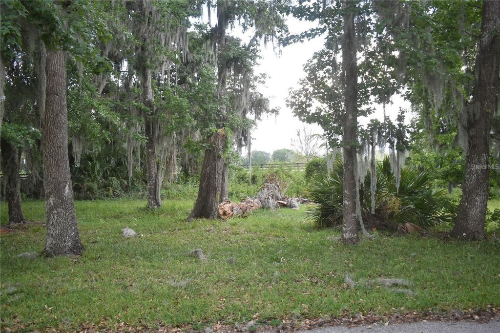 LOT 52 BLK C LEXINGTON- CIRCLE, Wildwood, FL 34785