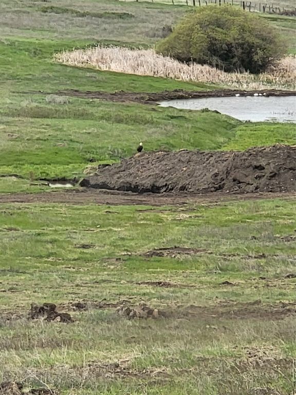 11668 Gracies View, Missoula, MT 59808 photo 55