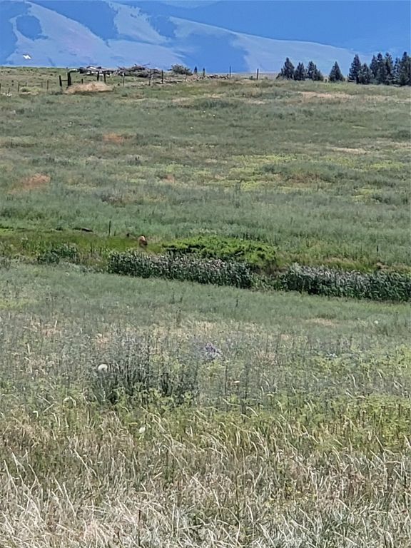 11668 Gracies View, Missoula, MT 59808 photo 57