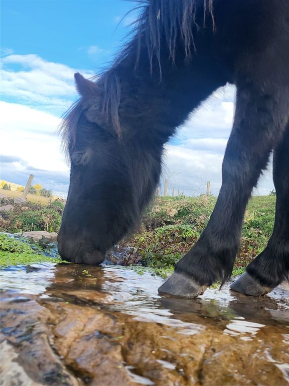 11668 Gracies View, Missoula, MT 59808 photo 61
