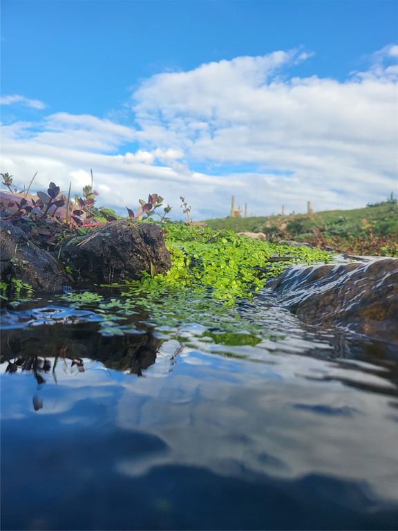 11668 Gracies View, Missoula, MT 59808 photo 63