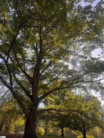 385 Wall Street, Campobello, SC 29322