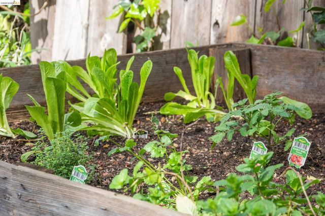 3316 Harrison St, Oakland, CA 94611