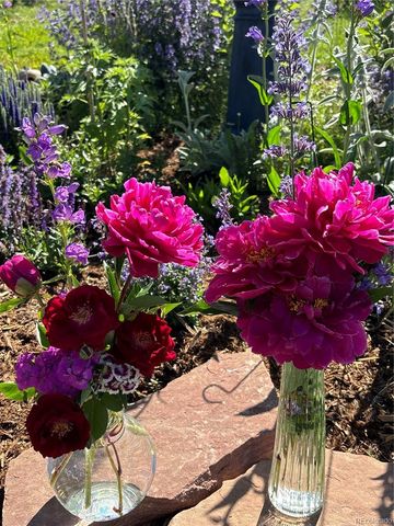 42400 County Road 13, Parker, CO 80138