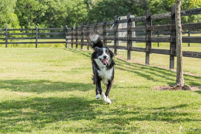 201 Northlake Street, Pike Road, AL 36064