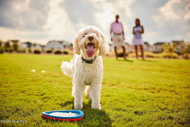 5750 Moonshell Loop, Wilmington, NC 28412