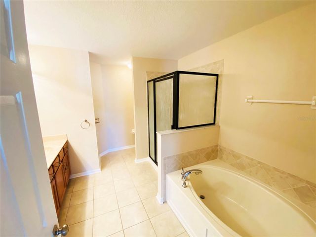 17449 STINCHAR DRIVE, Land O Lakes, FL 34638
