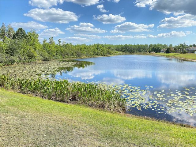 17449 STINCHAR DRIVE, Land O Lakes, FL 34638