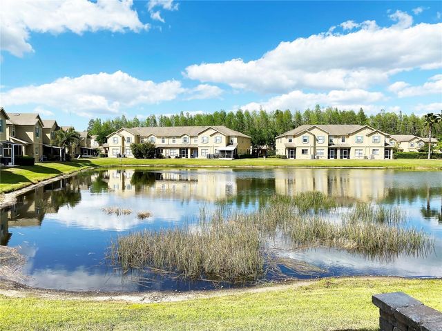17449 STINCHAR DRIVE, Land O Lakes, FL 34638