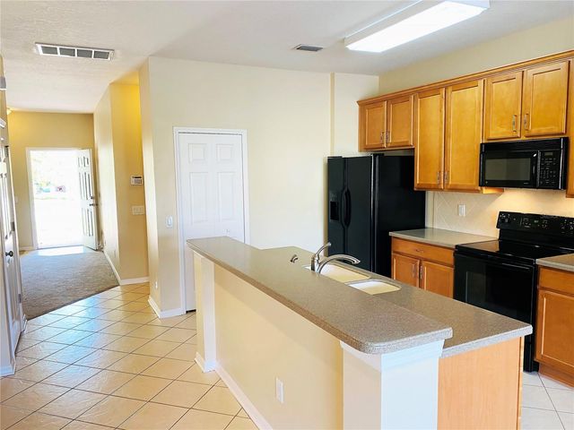 17449 STINCHAR DRIVE, Land O Lakes, FL 34638