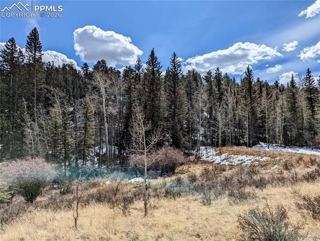 1620 Park Ridge Drive, Guffey, CO 80820
