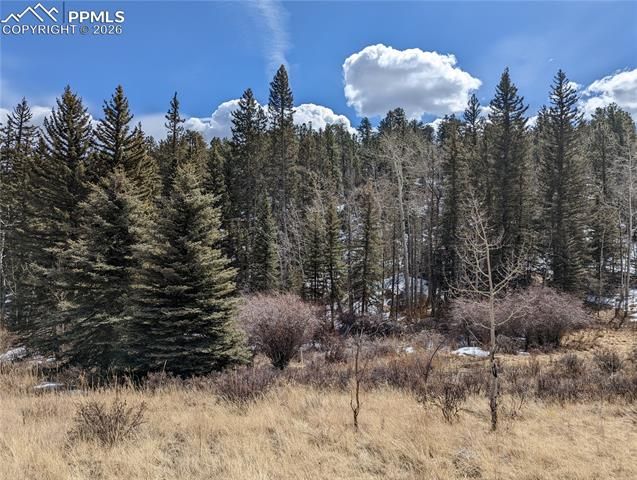 1620 Park Ridge Drive, Guffey, CO 80820