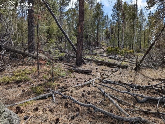 1620 Park Ridge Drive, Guffey, CO 80820
