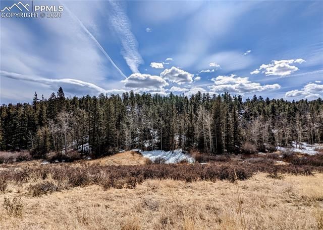 1620 Park Ridge Drive, Guffey, CO 80820