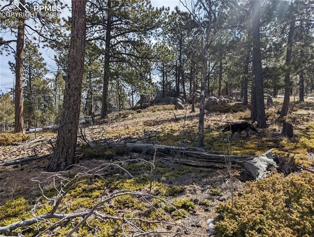 1620 Park Ridge Drive, Guffey, CO 80820