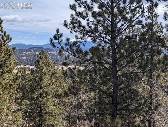 1620 Park Ridge Drive, Guffey, CO 80820