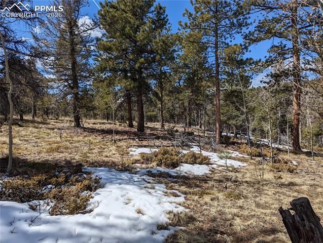 1620 Park Ridge Drive, Guffey, CO 80820