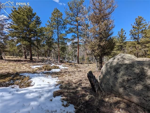 1620 Park Ridge Drive, Guffey, CO 80820