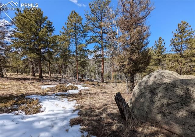 1620 Park Ridge Drive, Guffey, CO 80820