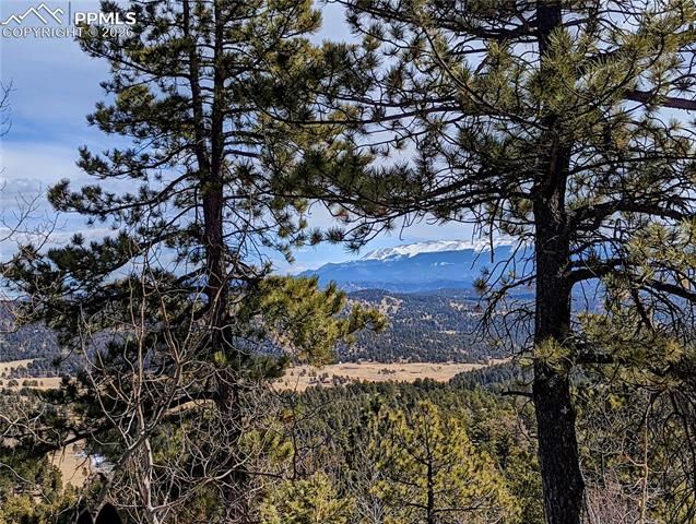 1620 Park Ridge Drive, Guffey, CO 80820