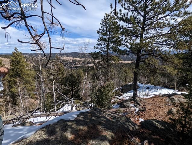 1620 Park Ridge Drive, Guffey, CO 80820
