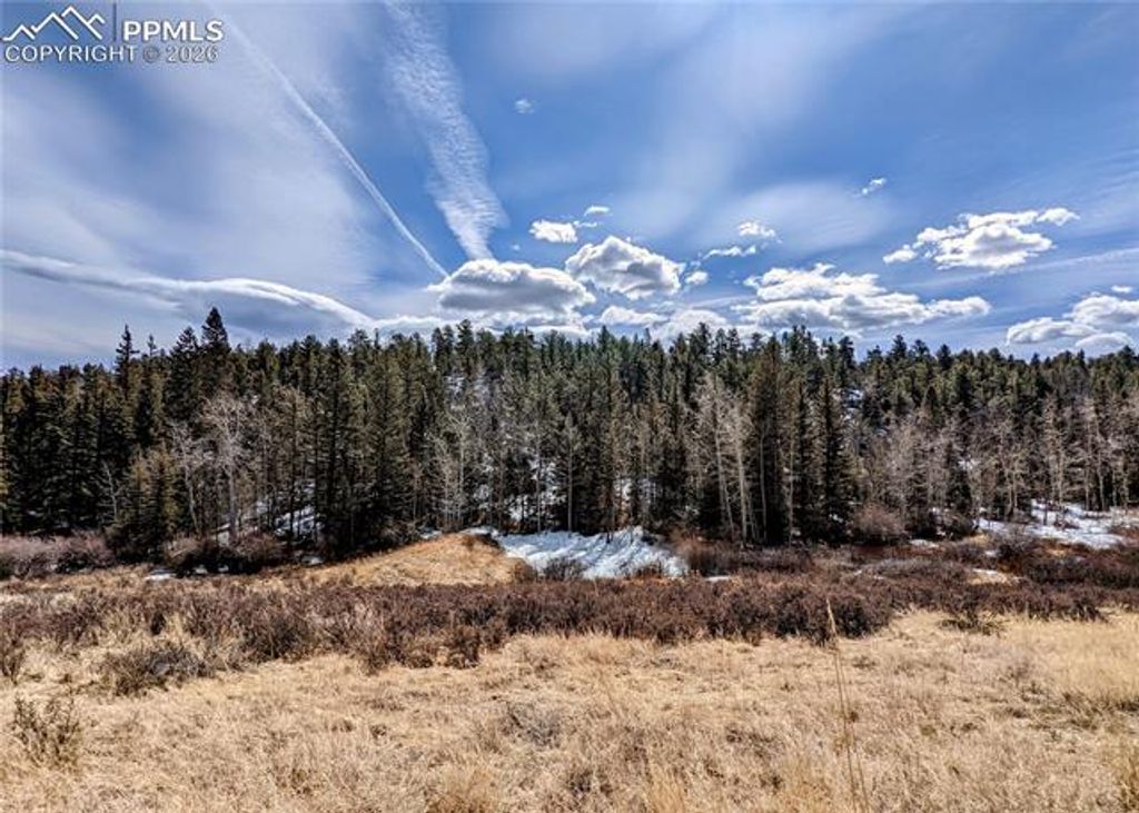 1620 Park Ridge Drive, Guffey, CO 80820 — photo 2