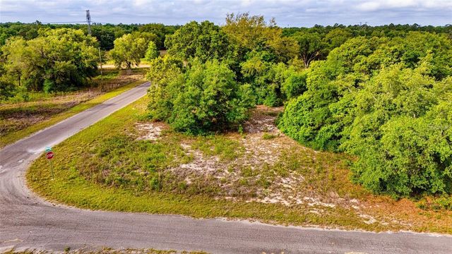 GUAVA TERRACE, Ocklawaha, FL 32179