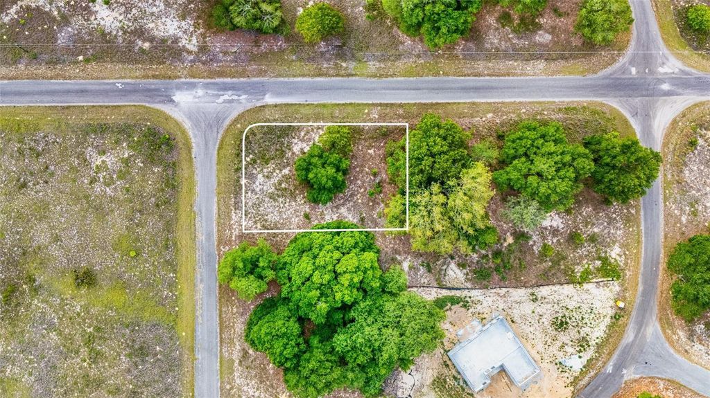 GUAVA TERRACE, Ocklawaha, FL 32179