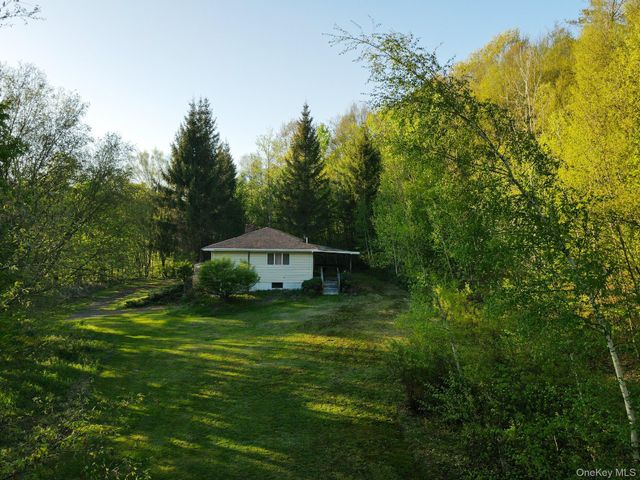 2182 Old Road 17, Roscoe, NY 12776