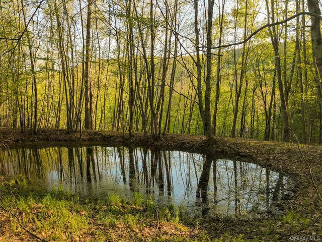 2182 Old Road 17, Roscoe, NY 12776