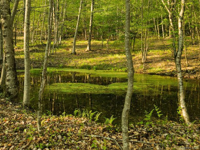 2182 Old Road 17, Roscoe, NY 12776