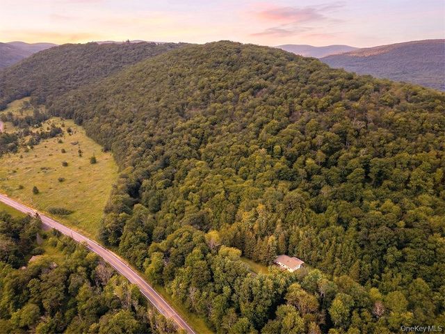 2182 Old Road 17, Roscoe, NY 12776