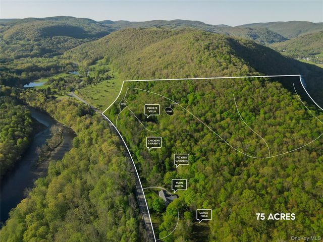 2182 Old Road 17, Roscoe, NY 12776