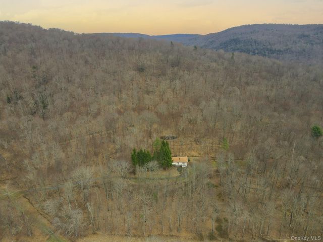 2182 Old Road 17, Roscoe, NY 12776
