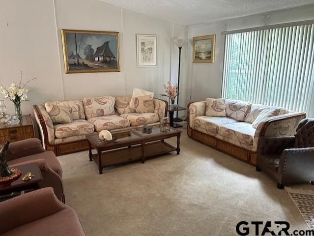 167 CR 2244, Mineola, TX 75773