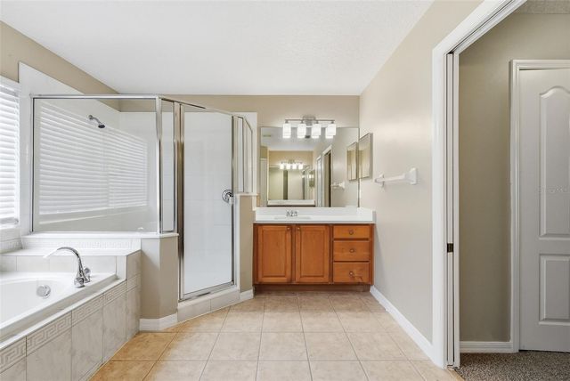 4317 HICKORY STONE CIRCLE, Orlando, FL 32829
