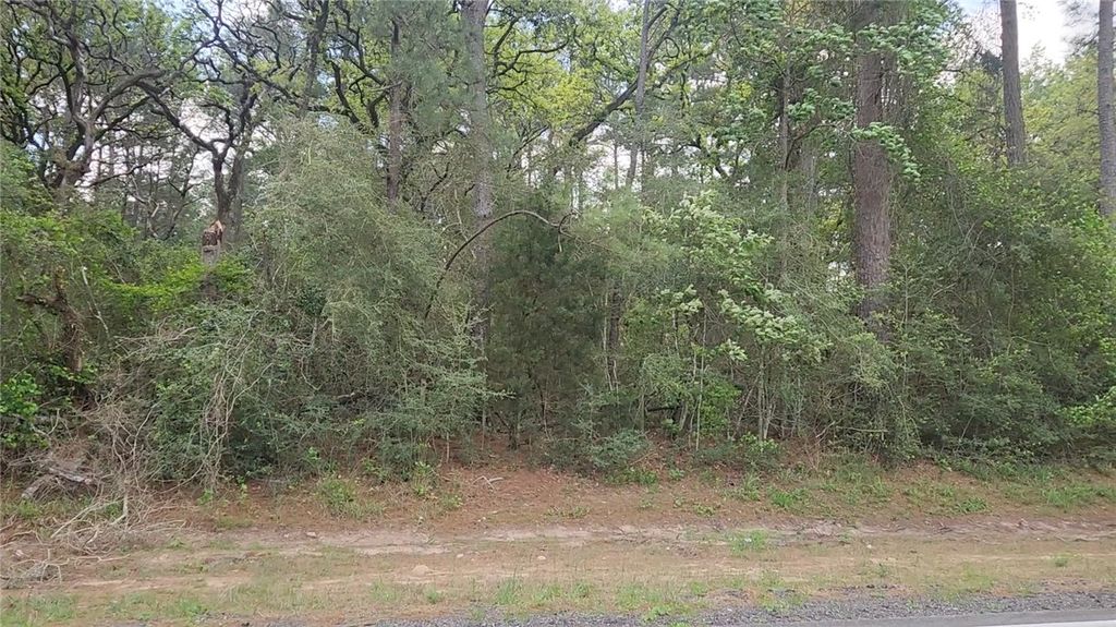 Lot 1 N. Council Dr., Hempstead, TX 77445 — photo 2