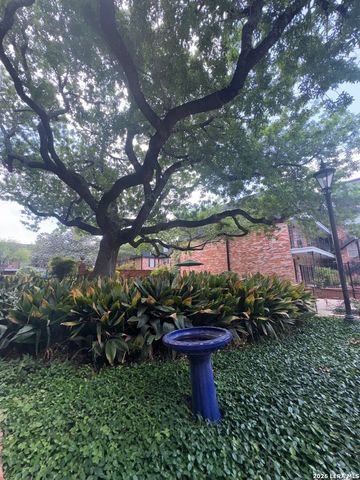 8401 N New Braunfels Ave Apt 245, San Antonio, TX 78209