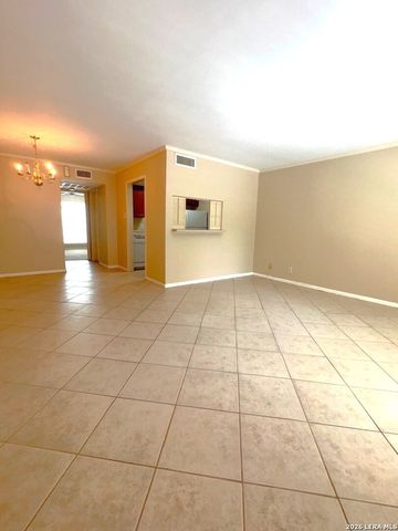 8401 N New Braunfels Ave Apt 245, San Antonio, TX 78209