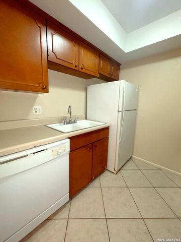 8401 N New Braunfels Ave Apt 245, San Antonio, TX 78209