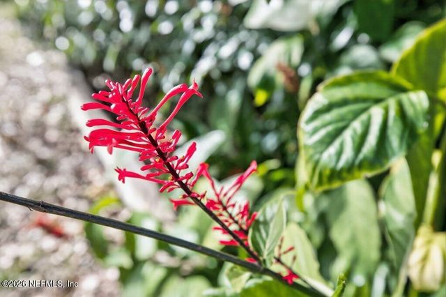 9708 STEAD Court, Jacksonville, FL 32221