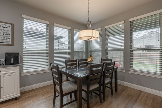 12163 Curry Creek Drive, Frisco, TX 75035
