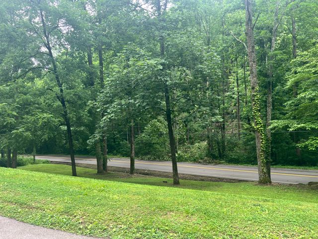 3678 Bear Hollow Rd, Whites Creek, TN 37189