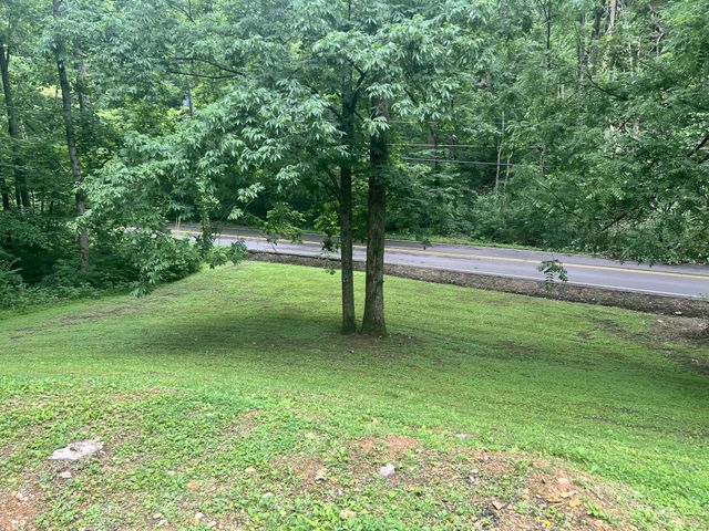 3678 Bear Hollow Rd, Whites Creek, TN 37189