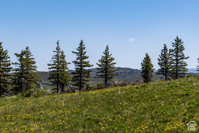 295 Hollyhock St Unit 161, Park City, UT 84098