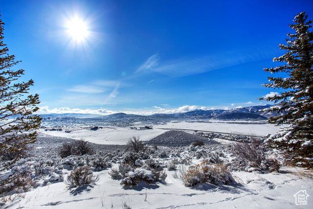 295 Hollyhock St Unit 161, Park City, UT 84098