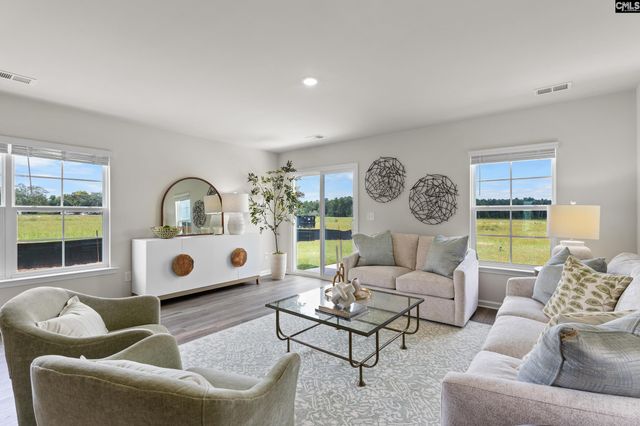 173 Calm Citadel Drive, Pelion, SC 29123
